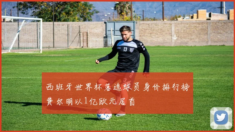 西班牙世界杯落选球员身价排行榜费尔明以1亿欧元居首