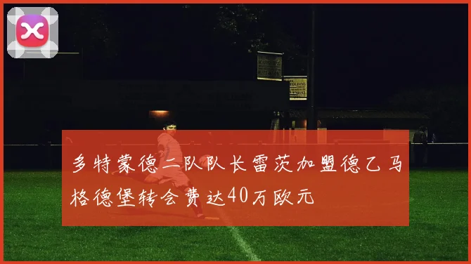 多特蒙德二队队长雷茨加盟德乙马格德堡转会费达40万欧元