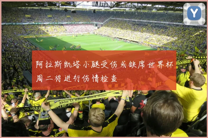 阿拉斯凯塔小腿受伤或缺席世界杯周二将进行伤情检查